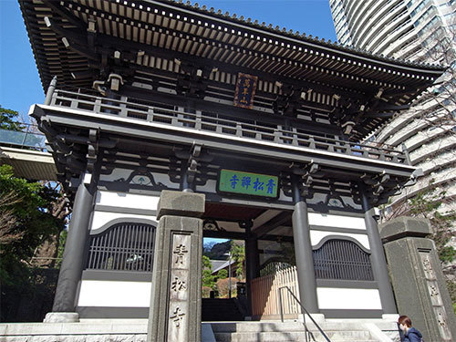 青松寺の山門