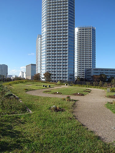 二子玉川公園と二子玉川ライズタワー
