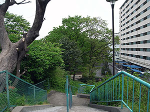 都営戸山公園