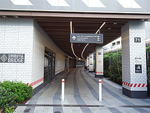 渋谷ブリッジ