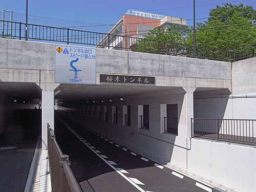 桜木トンネル（桜）
